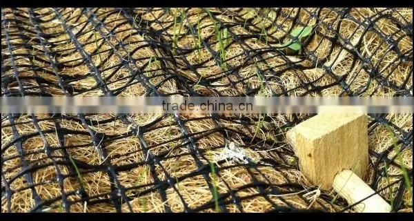 PP Erosion Control Net /Slope Protection Net Manufacture photo-6