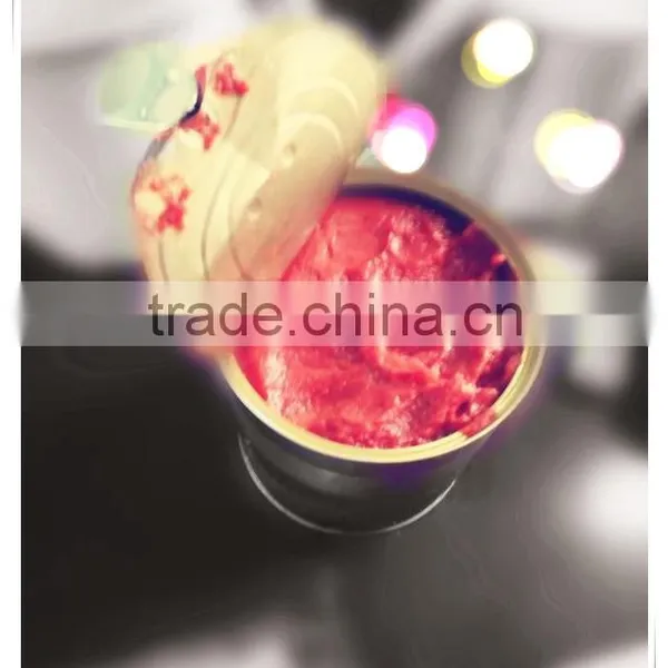 100% Pure Canned Tinned Tomato Paste photo-2