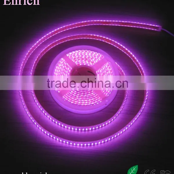 Pink Color Led Strip Light Double Line Leds 120pcs photo-2