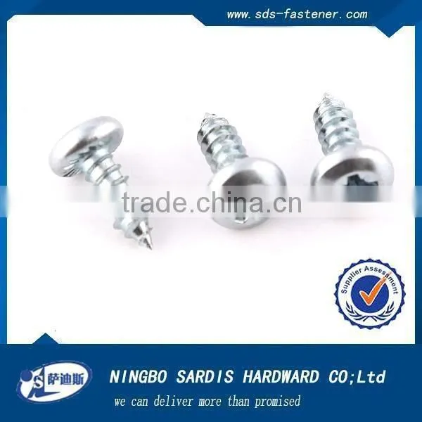 China Screw Manufacturer Screw Press 316ss Screw CSK Self Tapping Screw photo-5