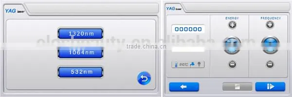 Best Quality 1064nm&532nm nd Yag Laser Price/ q Switch nd Yag Laser/laser Tattoo Removal Machine photo-4