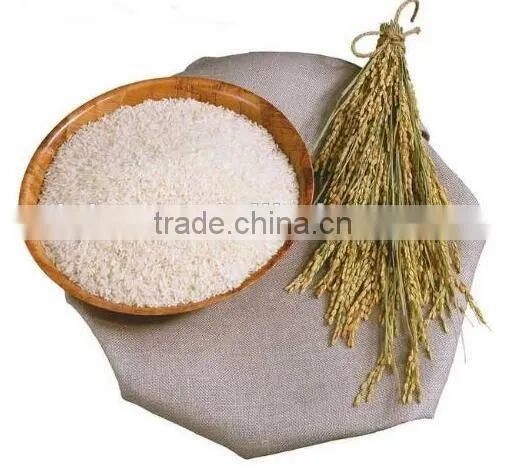 Wholesale High Quality Organic Rice Protein Pure Natural photo-2