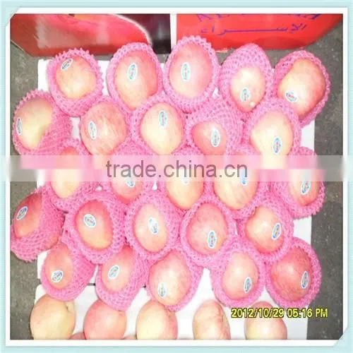 China Red Fresh Big Fuji Apple