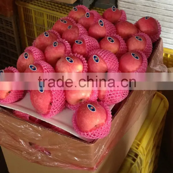 Fresh Chinese Fuji Apple 2014 photo-2