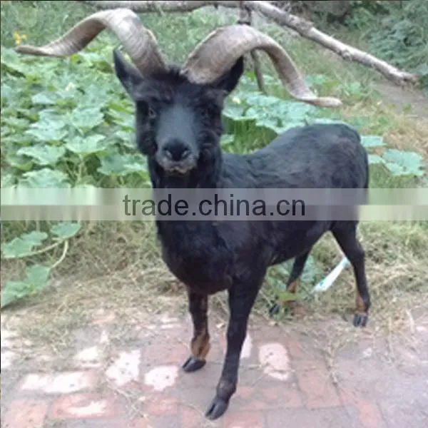 Realistic Taxidermy Replica Figurine Novelties Goods From China