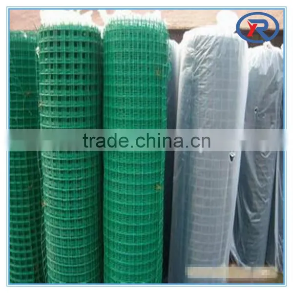 PVC Coated Welded Wire Mesh/Plastic Wire Mesh/ Welded Wire Mesh photo-2