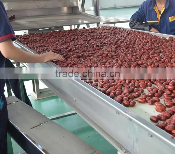 Red Dates Multiple Layer Stainless Steel Conveyor Dryer photo-5