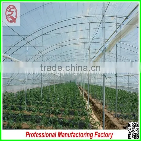 Commercial Plastic Vegetable Greenhouse for Sale With Seedbed photo-6