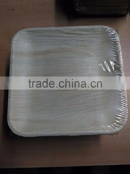 Bio Degradable Plates photo-3
