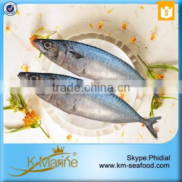 China Supplier of Sea Food Products photo-3