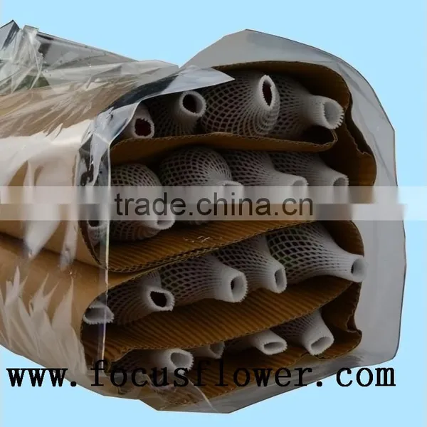 Supply Roses Flowers Fresh Cut White Color Rose Flowers Black Magic Rose With 0.8_1.2kg/bundle From Yunnan photo-6