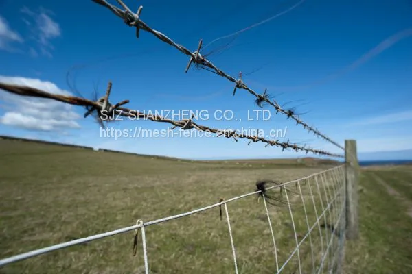 Hot Dipped Galvanized Barbed Wire Security Fence photo-4