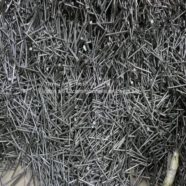 Cheap Price Polished Common Nails photo-5