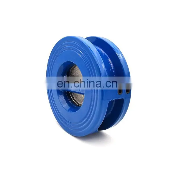 DN50 Small Ductile Cast Iron Wafer Type Single Disc Check Valve photo-4