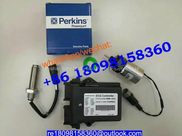 2643B317 2643B319 2643B315 Genuine FUEL Injection Pump /Perkins Spare Parts photo-2