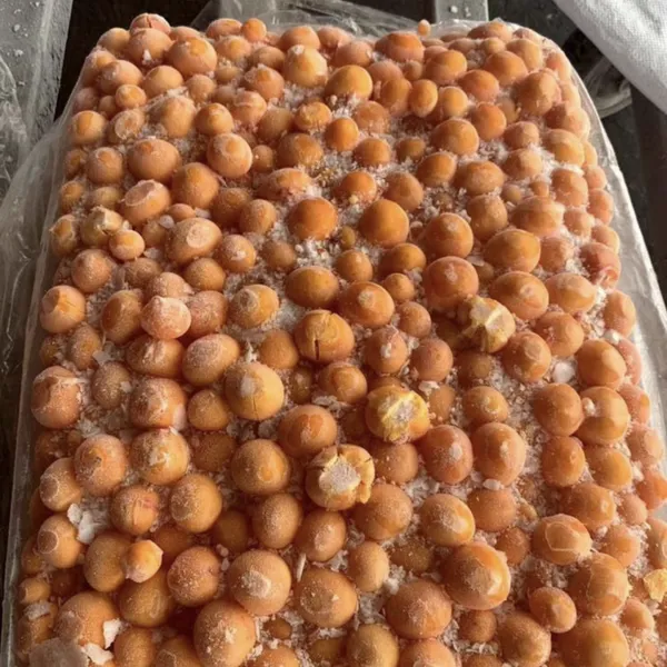 Factory Wholesale Freeze-drying Whole Egg Yolk Dog Cat Snacks photo-3