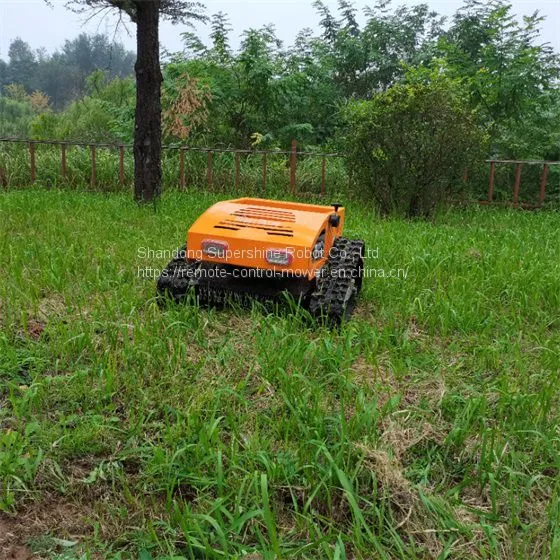 Remote Control Lawn Mower for Sale in China Manufacturer Factory photo-4