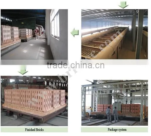 Automatic Brick Factory With Tunnel Kiln, High Technology for Brick Making photo-4