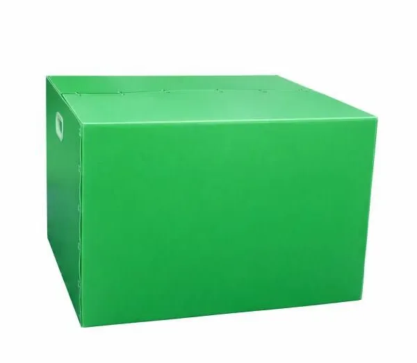 Polypropylene Corrugated Storage Box