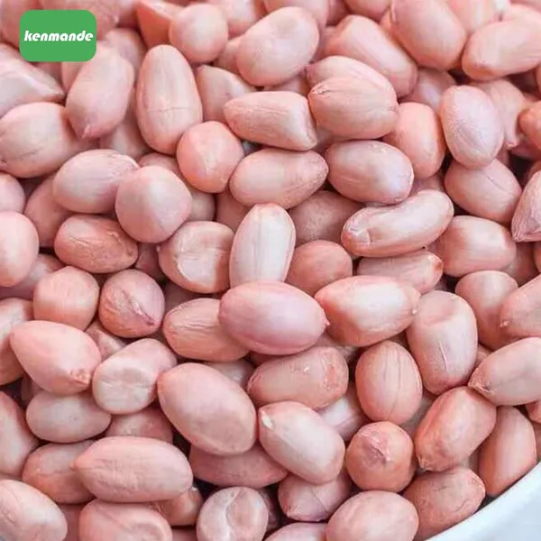 Premium Natural Red Skin Round Shelled Peanut Kernels 50/60 for Snack Manufacturing