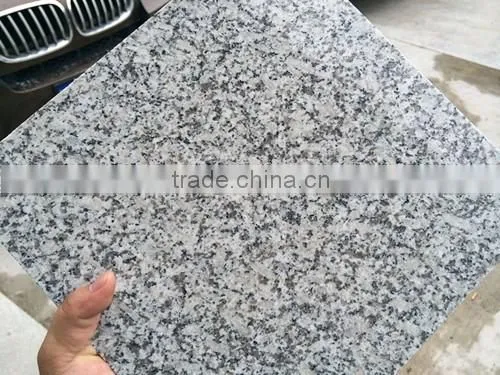 Popular Chinese Light Grey Granite Tiles G602 photo-5