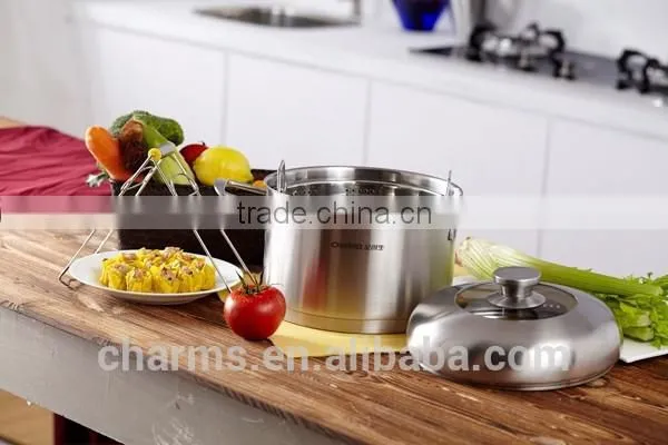 Elegant Steamer for Electrothermal Oven photo-3