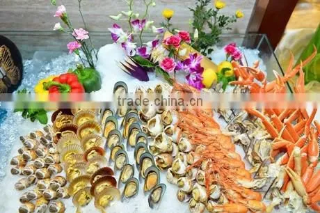 Guangzhou Ice Machine/Plate Ice Machine for Fiji photo-4