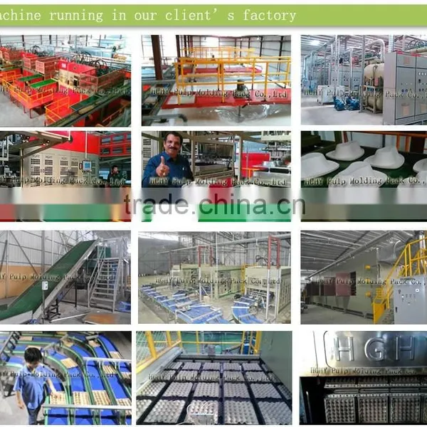 HGHY High Quality Biodegradable Disposable Bamboo Bagasse Paper Plate Pulp Molding Machinery photo-5