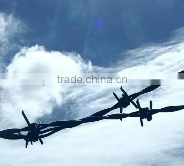 Anping Supply Good Quality And Best Price Barbed Wire photo-4