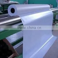 2015 Shanghai FLY Hot Sale Flex Banner for Advertising Desplay Backlit From China photo-3