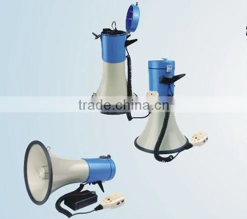 Professional Wireless Microphone