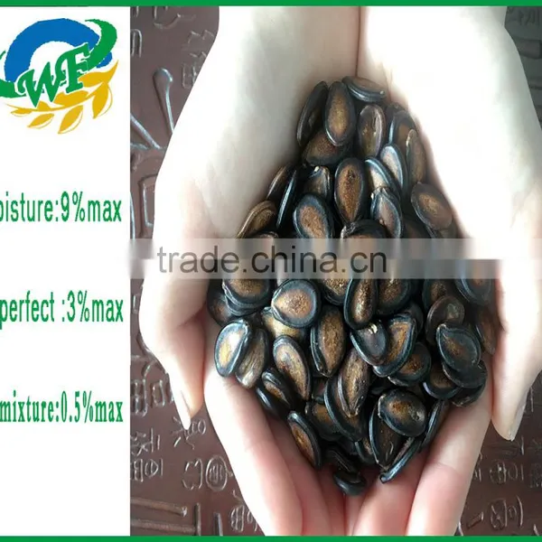 New Crop Chinese Black Watermelon Seed photo-3