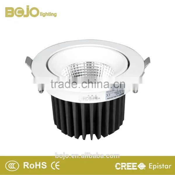 LED Downlight 30W With CE & RoHs Certification, LED Downlights photo-3