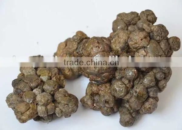 Crude Organic Propolis photo-2