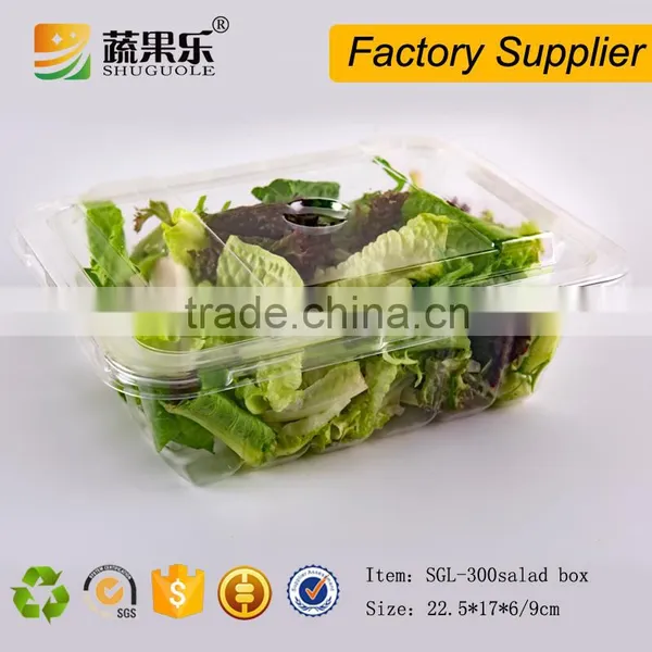 Rectangle Transparent Take Away Plastic Salad Box With Lid photo-2