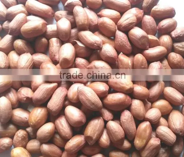 Peanuts photo-6