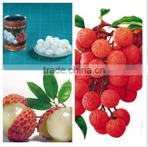 Canned Fruit Canned Lychee in Syrup