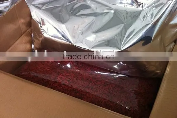 Lycium Fruit photo-5