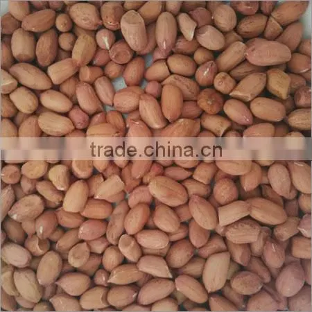 Bold Peanuts photo-2