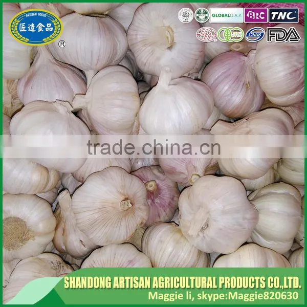 White Garlic,wholesale Garlic photo-2