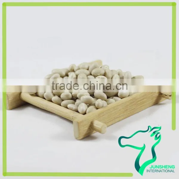 Navy Bean Small White Kidney Beans Haricot Beans photo-3