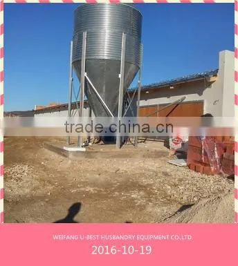 Industrial Poultry Equipment Chicken Farm photo-2