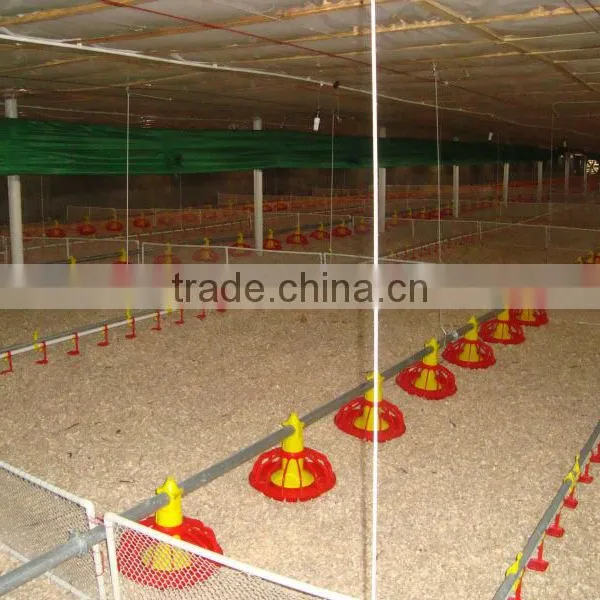 Height Adjustable Automatic Auger Broiler Chicken Feeding Equipment