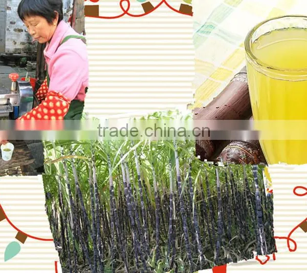 Neweek Popular Fruit Extractor Manual Sugar Cane Juice Machine photo-6