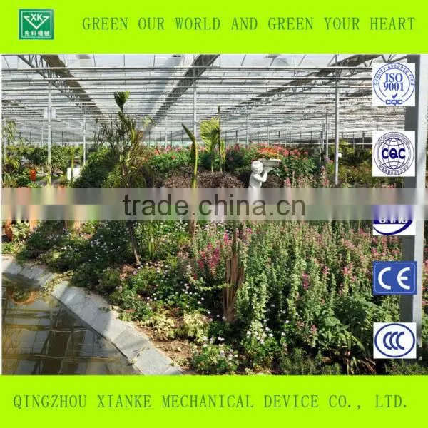 Commercial Large Scale Green House photo-2