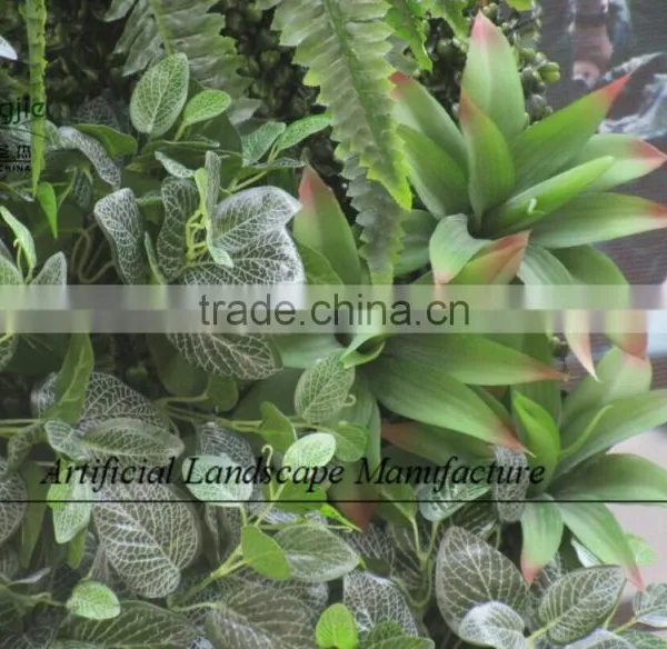 ODM or OEM Artificial Plants Wall in Factory,fake Green Wall photo-5