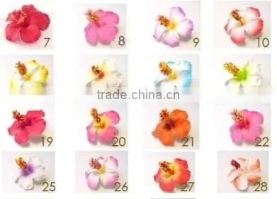Hawaiian Eva Foam Flower Hibiscus ( TK-HB)