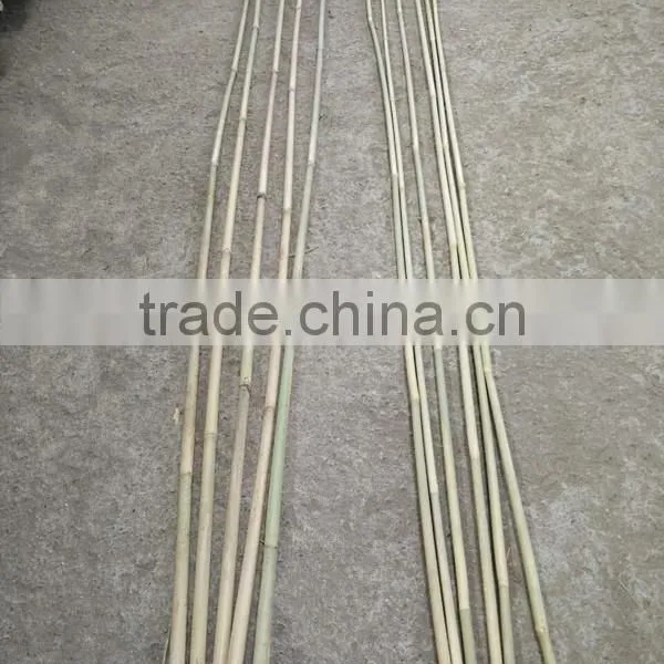 8~10mm * 120cm Dried Tonkin Bamboo Sticks photo-4