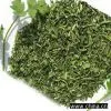 Sell Dehydrated Coriander