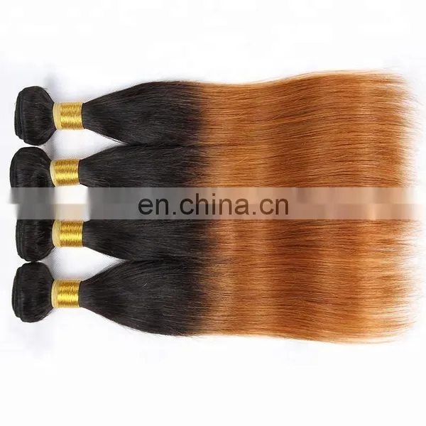 Wholesale Darling Hair Brazilian 100% Human Ombre Hair Extensions Hair Coloring photo-3